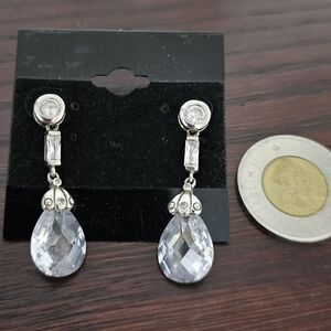 Elegant Silver Drop Earrings